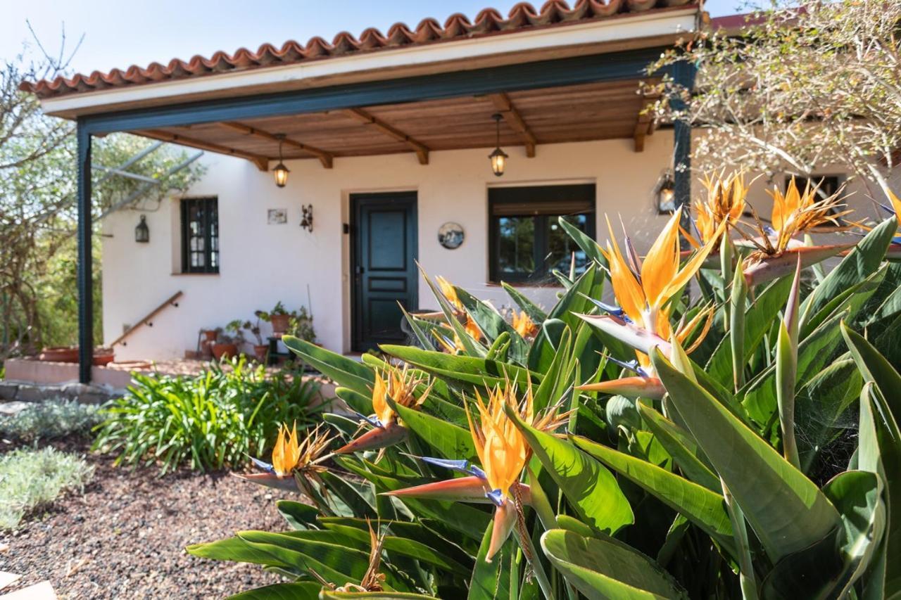 Live La Laguna Casita Vieja Esterno foto