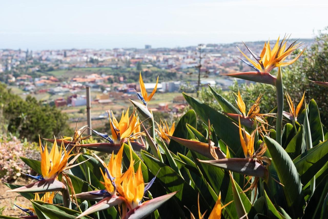 Live La Laguna Casita Vieja Esterno foto